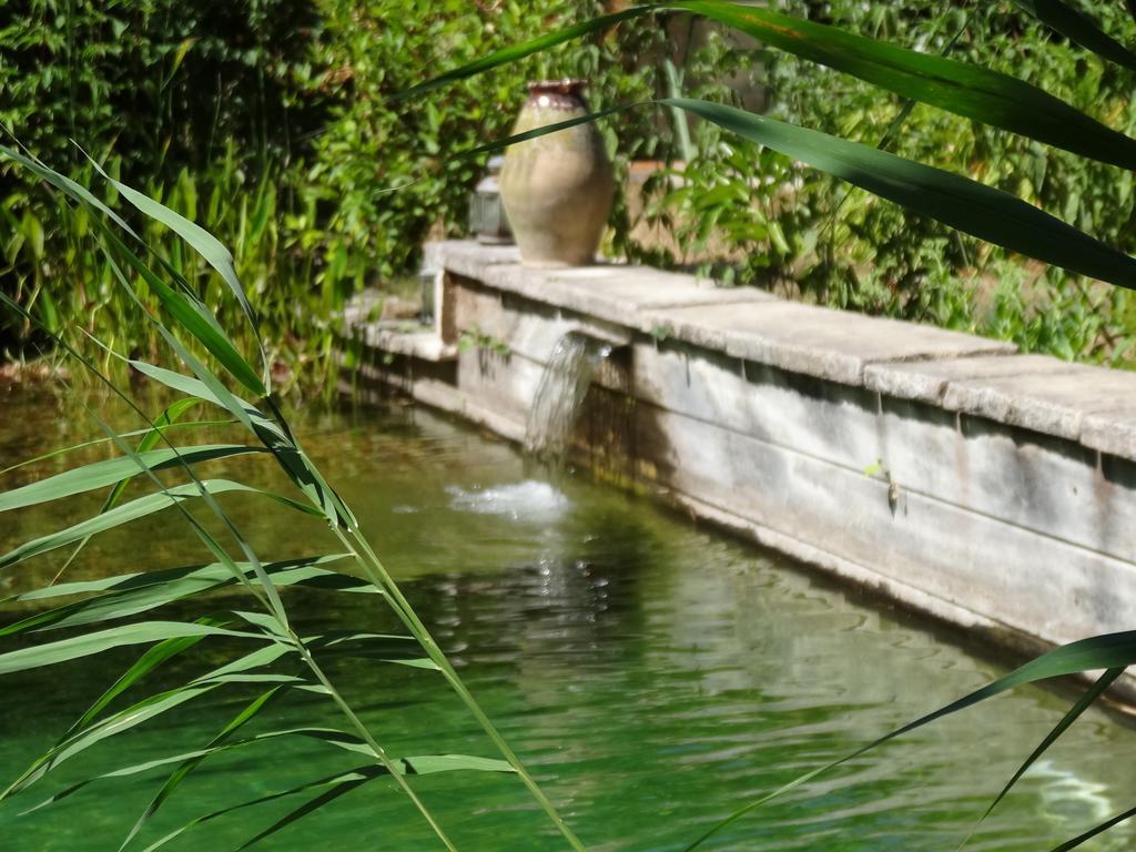 Jardin De Canaan Saint-Julien-de-Chedon Экстерьер фото